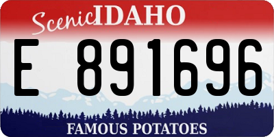 ID license plate E891696