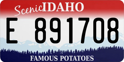 ID license plate E891708