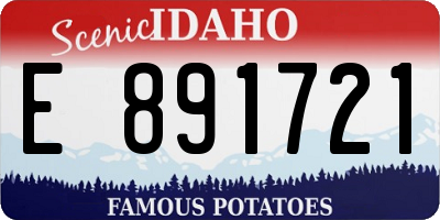 ID license plate E891721