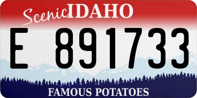 ID license plate E891733