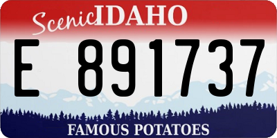 ID license plate E891737