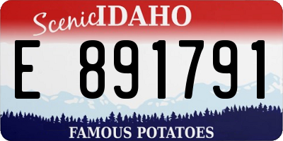 ID license plate E891791