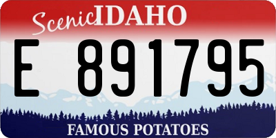 ID license plate E891795