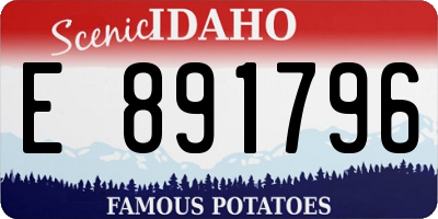 ID license plate E891796