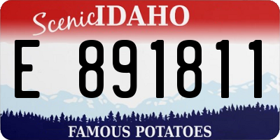 ID license plate E891811