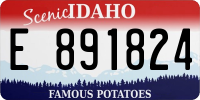 ID license plate E891824