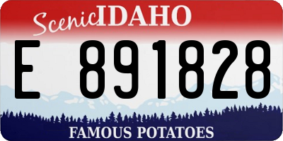 ID license plate E891828