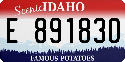 ID license plate E891830