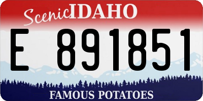 ID license plate E891851