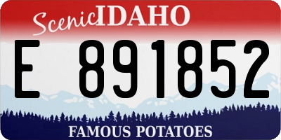 ID license plate E891852