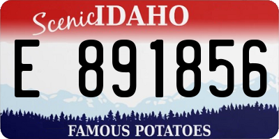ID license plate E891856