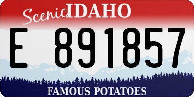 ID license plate E891857