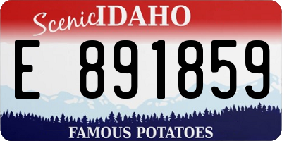 ID license plate E891859
