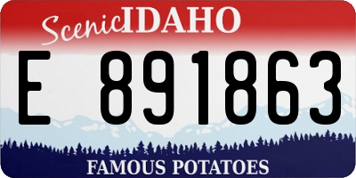 ID license plate E891863