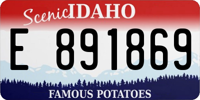 ID license plate E891869