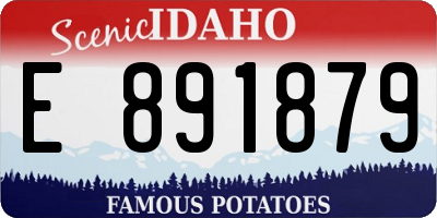 ID license plate E891879
