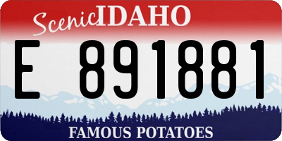 ID license plate E891881