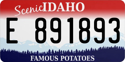 ID license plate E891893