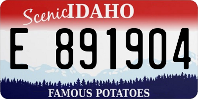 ID license plate E891904