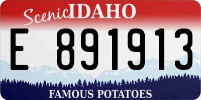 ID license plate E891913
