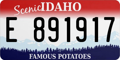ID license plate E891917