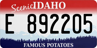 ID license plate E892205