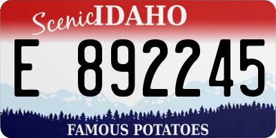 ID license plate E892245