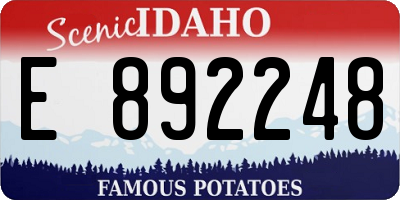 ID license plate E892248