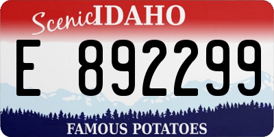 ID license plate E892299