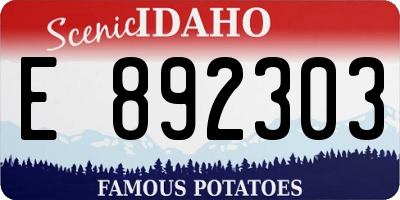 ID license plate E892303
