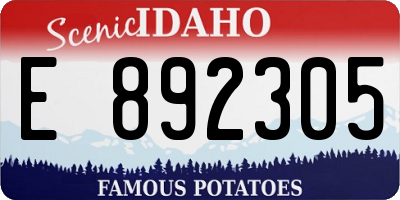 ID license plate E892305