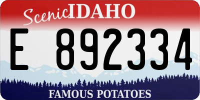 ID license plate E892334