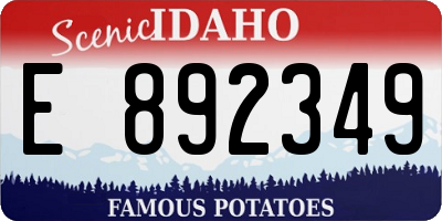ID license plate E892349