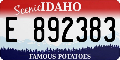 ID license plate E892383