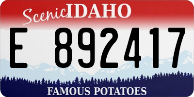 ID license plate E892417