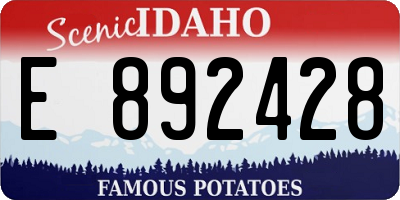 ID license plate E892428