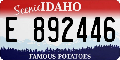ID license plate E892446