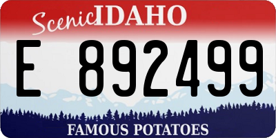 ID license plate E892499