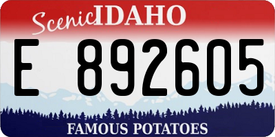 ID license plate E892605