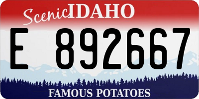 ID license plate E892667