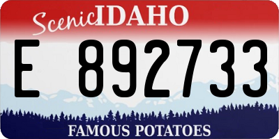 ID license plate E892733
