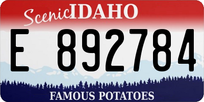 ID license plate E892784
