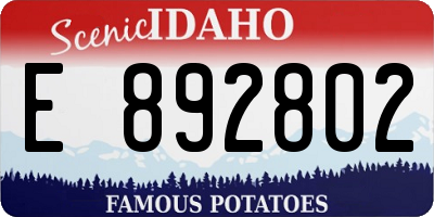 ID license plate E892802