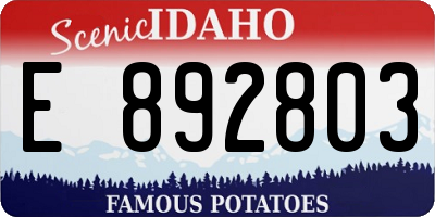 ID license plate E892803