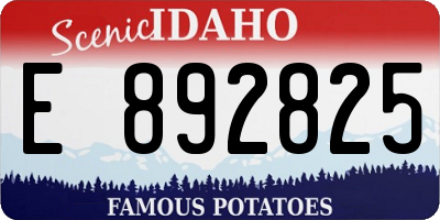ID license plate E892825