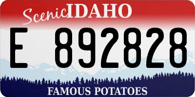 ID license plate E892828
