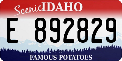 ID license plate E892829