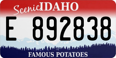 ID license plate E892838