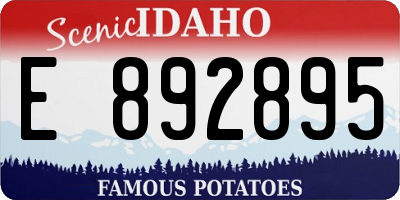 ID license plate E892895