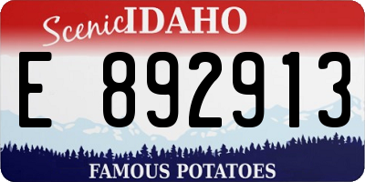 ID license plate E892913